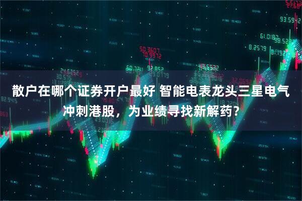 散户在哪个证券开户最好 智能电表龙头三星电气冲刺港股，为业绩寻找新解药？