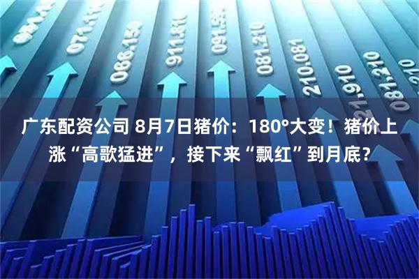 广东配资公司 8月7日猪价：180°大变！猪价上涨“高歌猛进”，接下来“飘红”到月底？